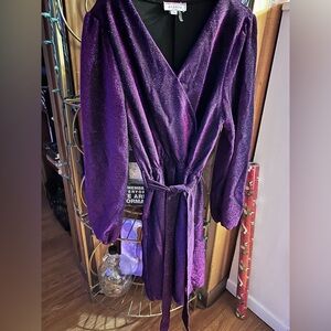 Andree Purple Mini Dress